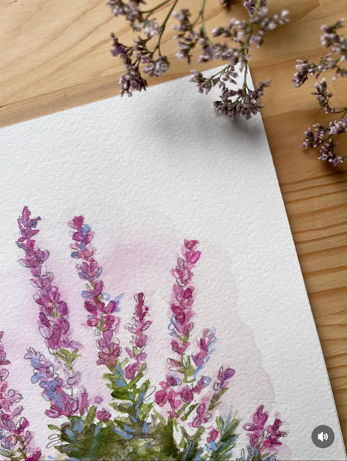 °° COMPLET °° Aquarelle "Les plantes du littoral" avec Laure Blondet 